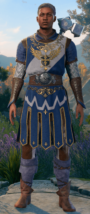 devotion paladin