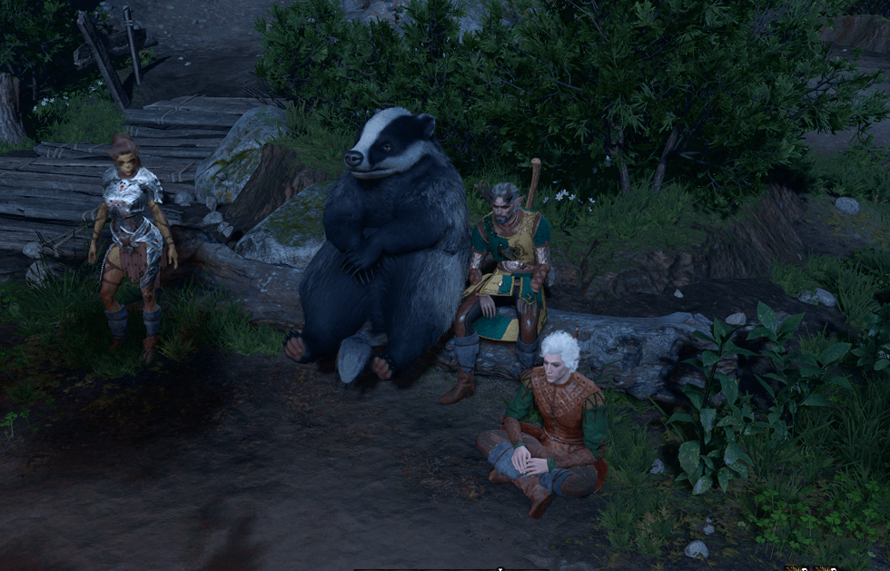 druid at campfire