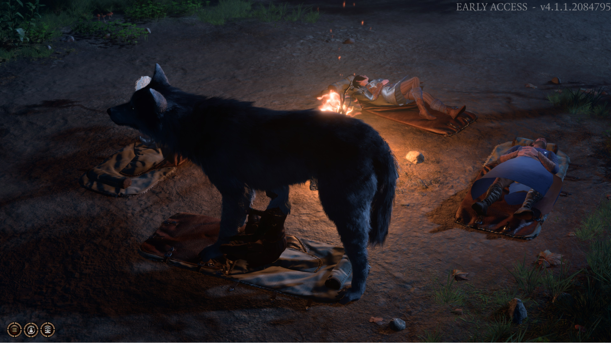wolf companion protecting