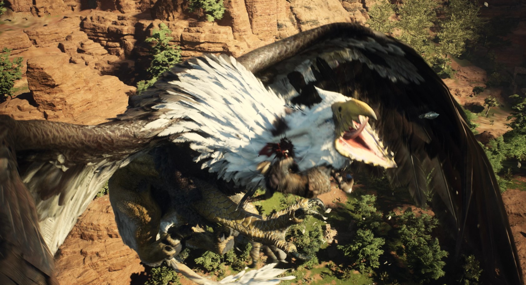 dd2 thief smaller