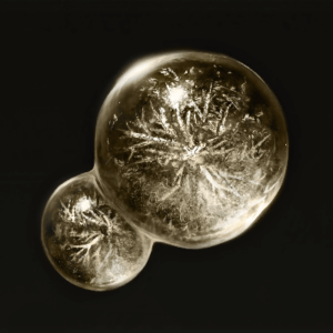 Dexterity-Knot Crystal Tear