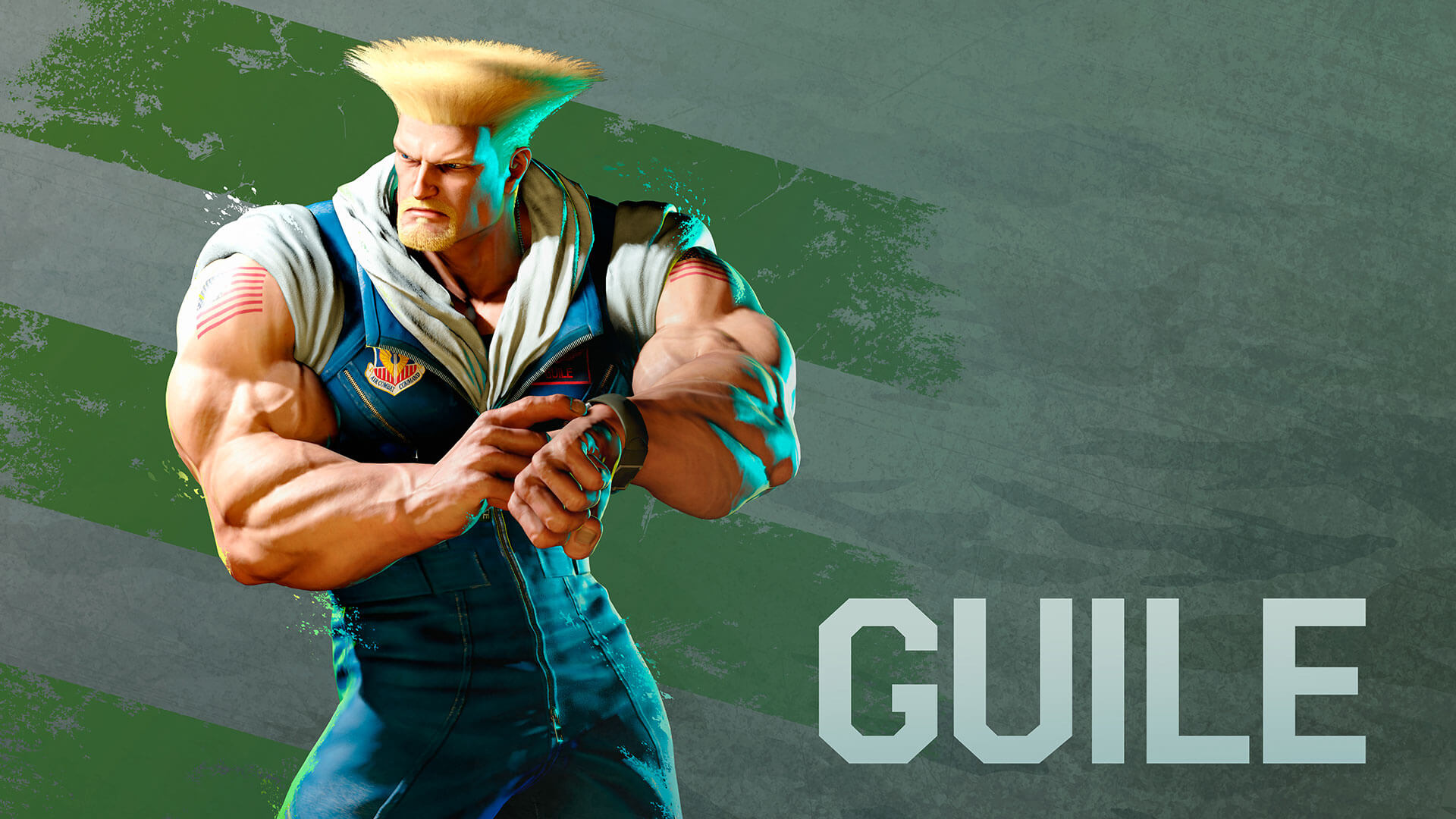 fe42e678-guile-sf6-profile guile sf6 profile