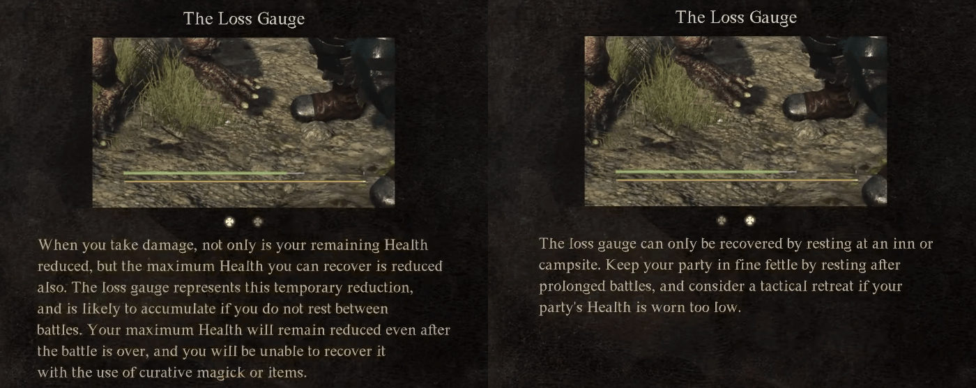 loss gauge