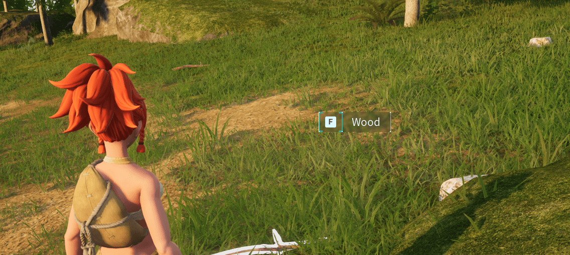 wood collection