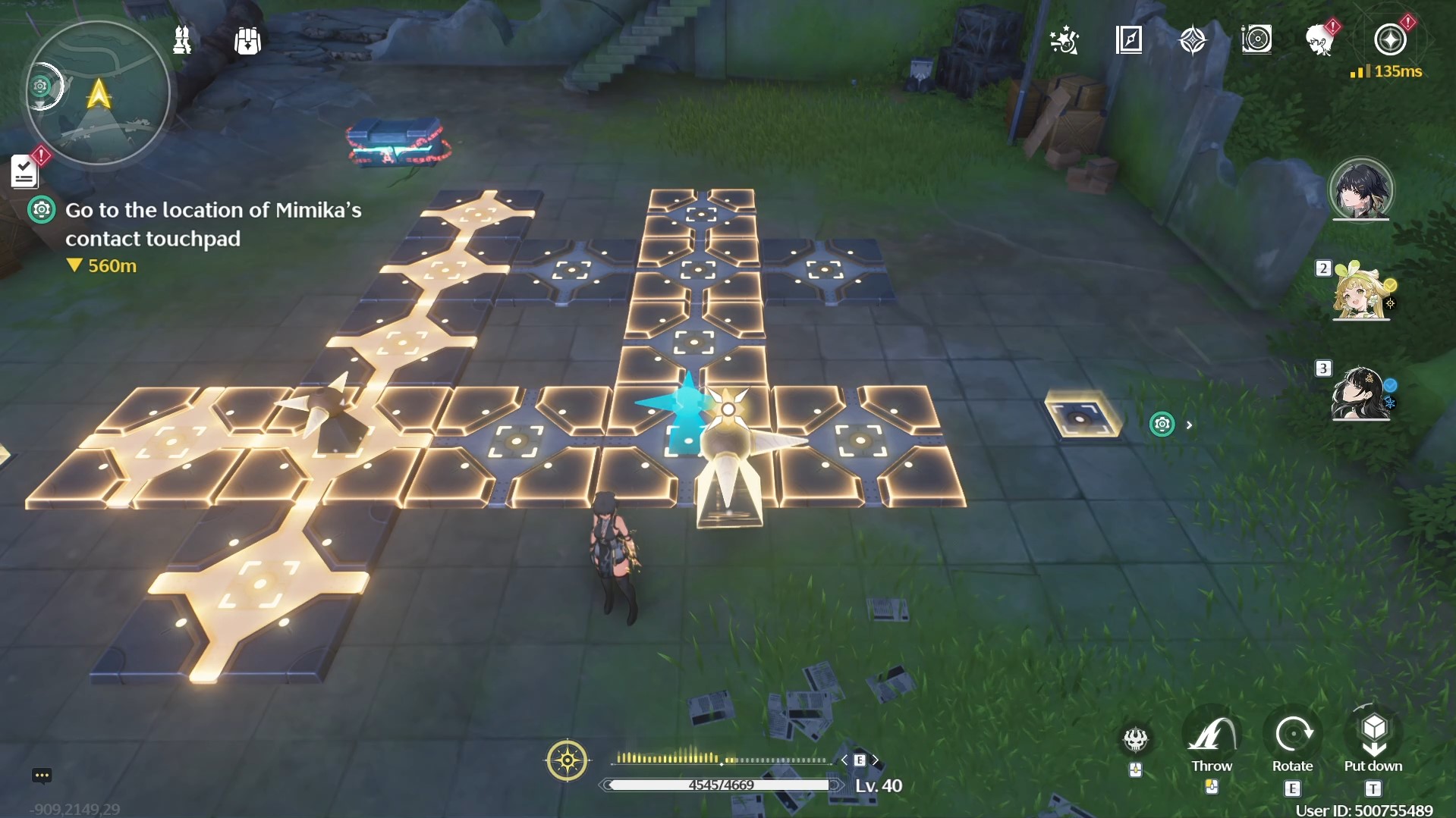 Wuthering Waves Puzzles